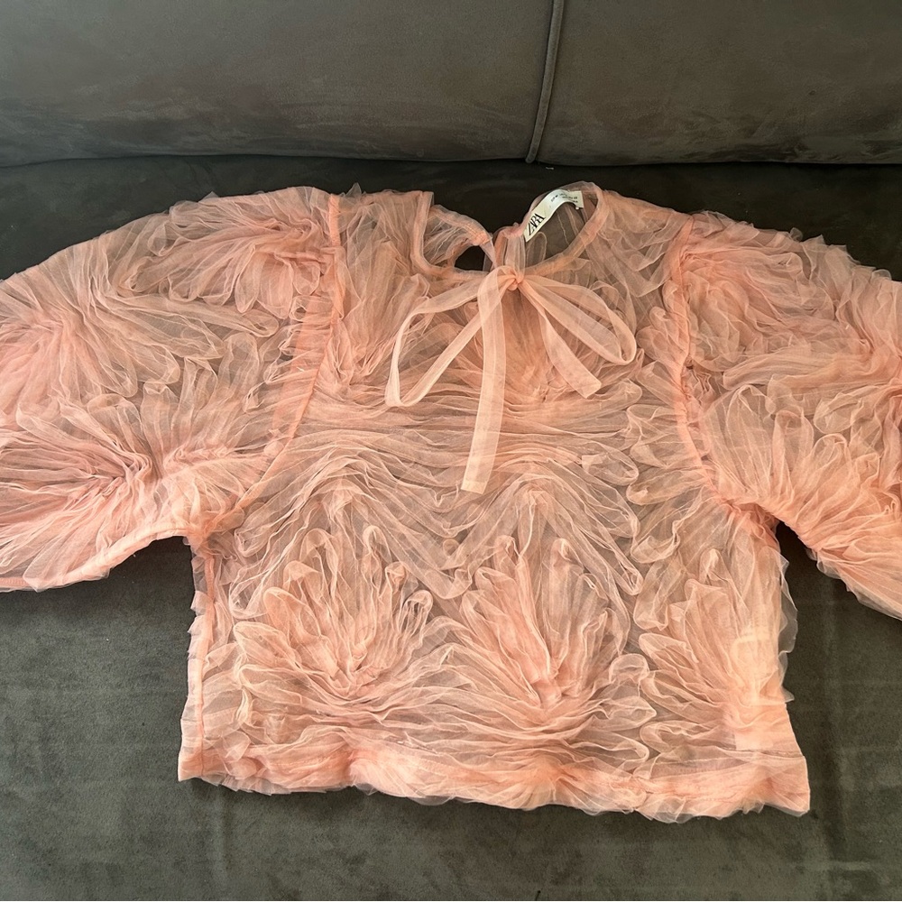 Zara Pink Mesh Blouse - Size M